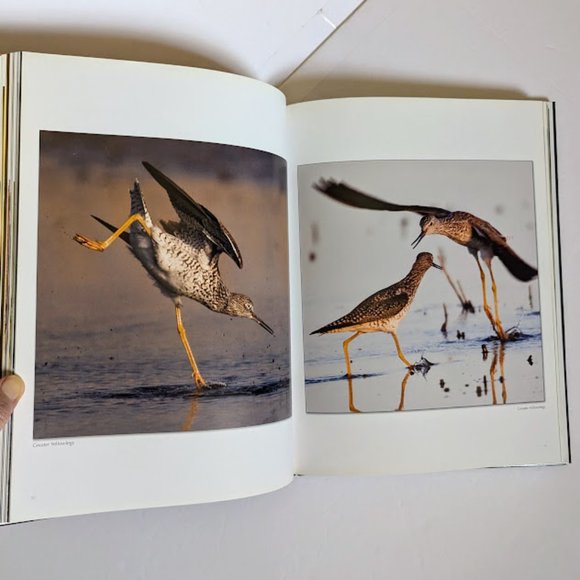 SPECIAL Signed 1st Ed Wild Delaware Kevin Fleming Coffee Table Book 4 Prints PKG - Picture 11 of 16